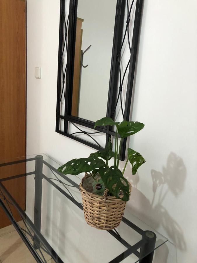 Apartment Moschoula Plaka *